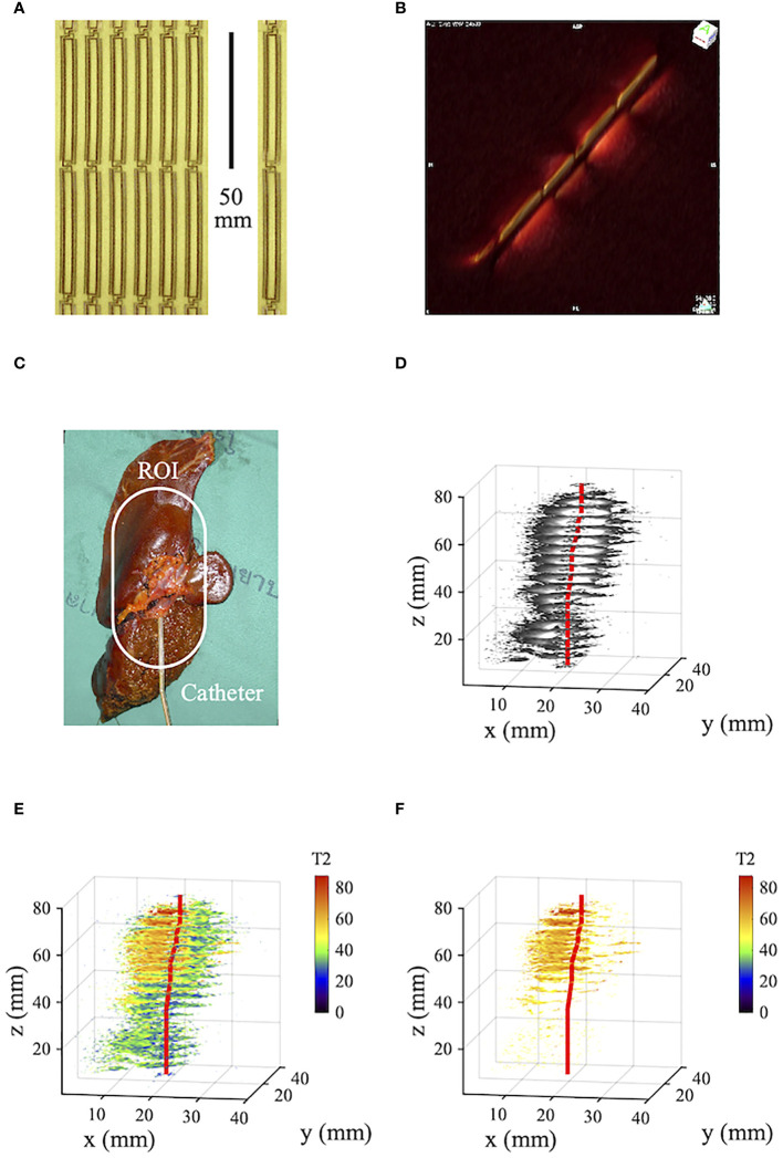 Figure 2