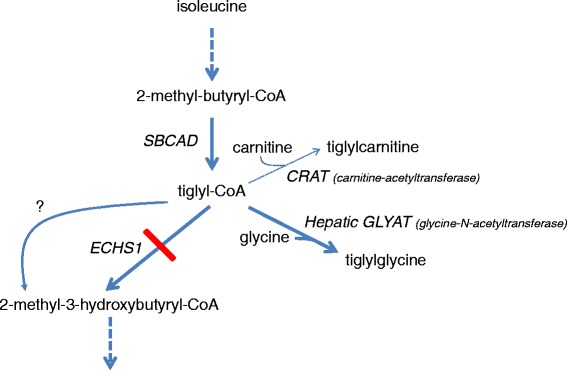 Fig. 7