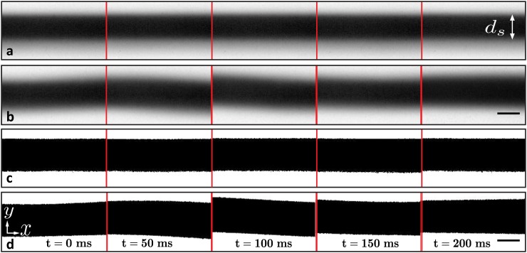 FIG. 2.