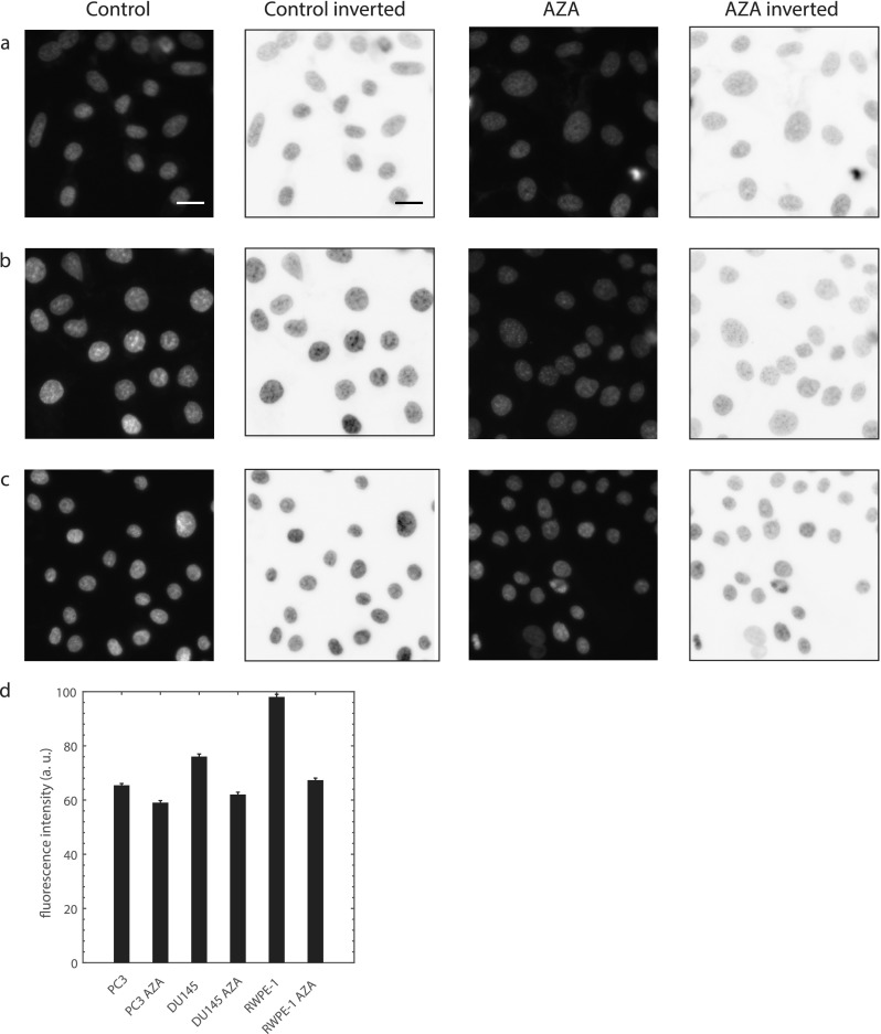 FIG. 7.