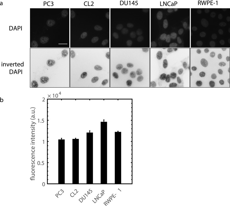 FIG. 9.