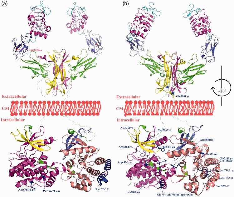 Figure 3.