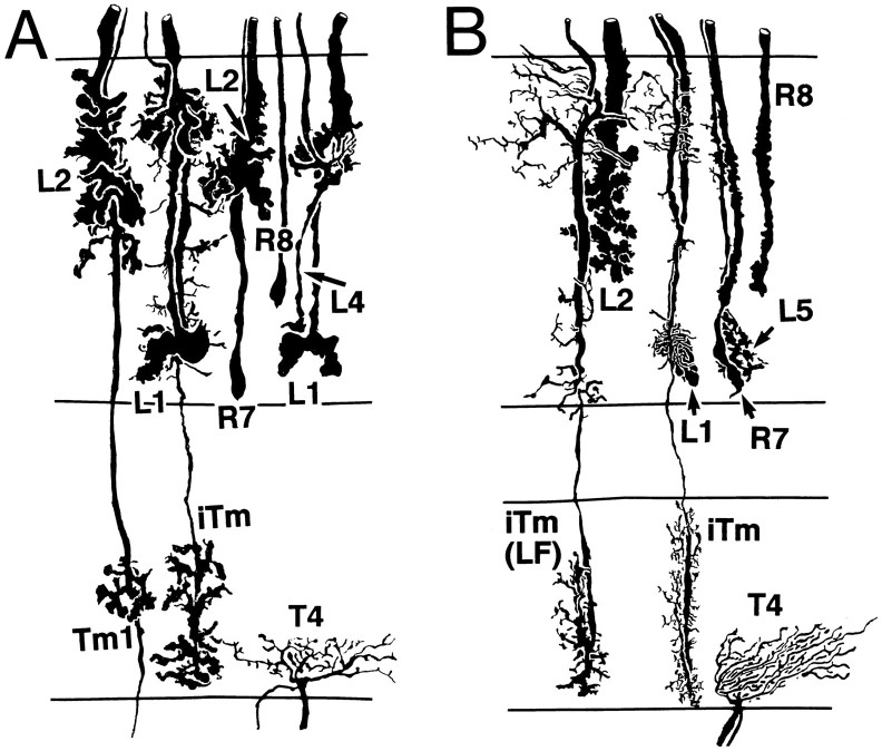 Fig. 9.