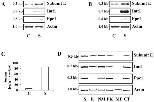 Figure 9