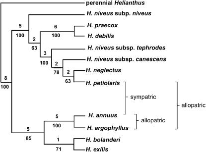 Figure 2.—