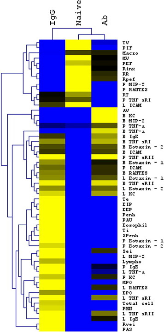 Supplemental Figure S1