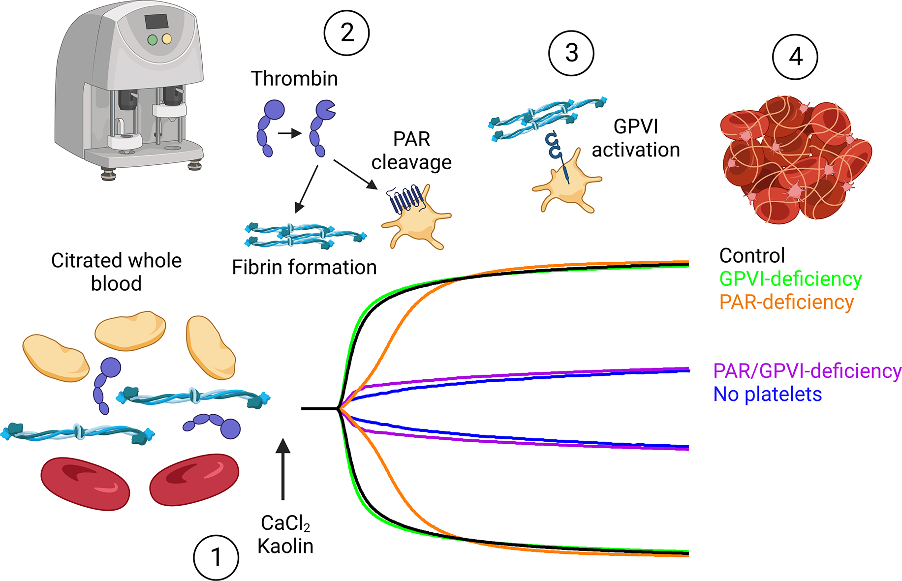 Figure 7: