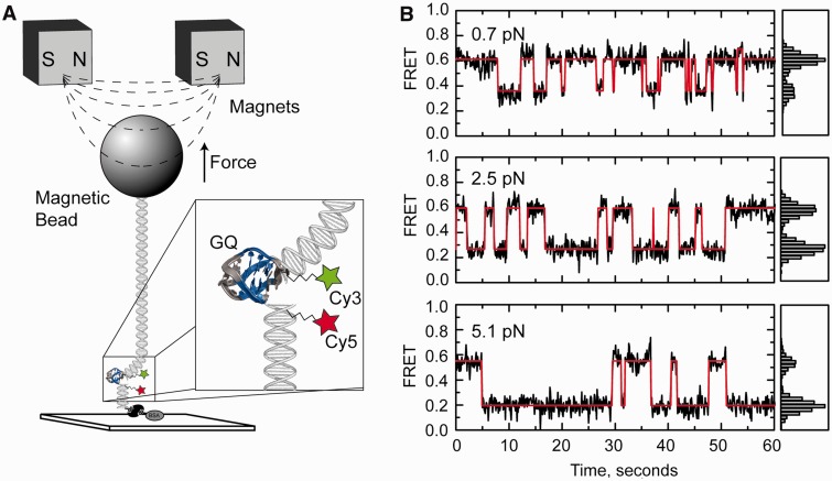 Figure 2.