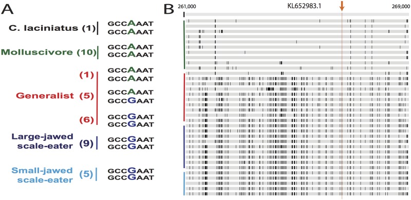 Fig 6