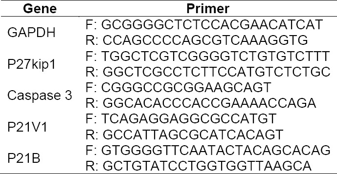 graphic file with name SciPharm-84-113-g008.jpg