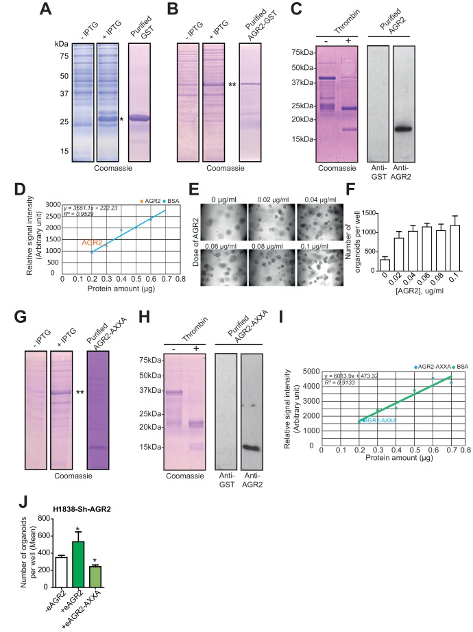 Figure 6—figure supplement 1.