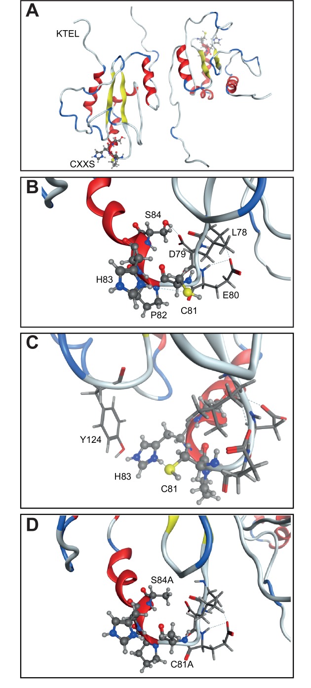 Figure 6—figure supplement 2.