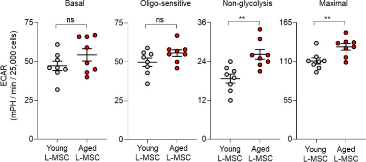 Figure 3—figure supplement 1.