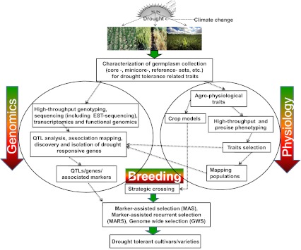 Fig. 1