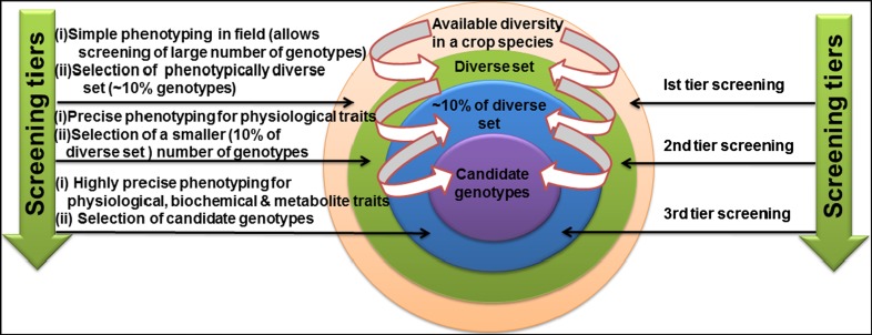 Fig. 3