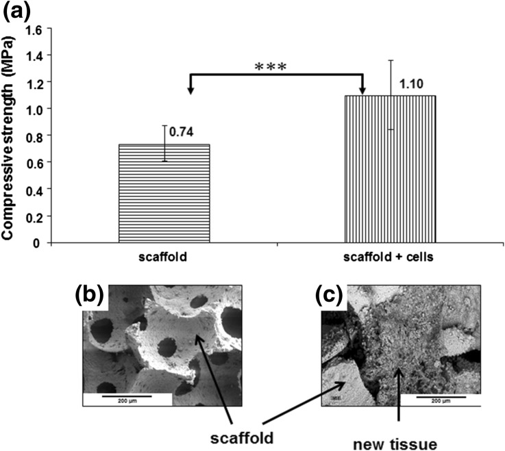 Figure 6