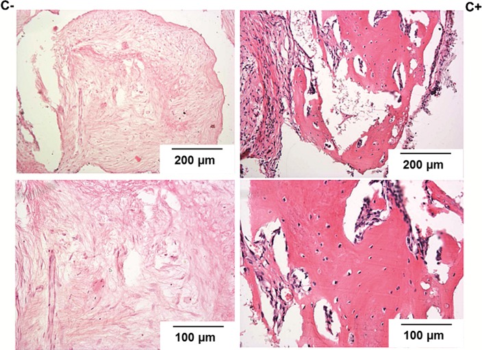 Figure 7