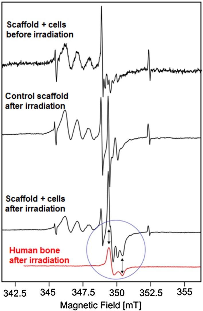 Figure 9