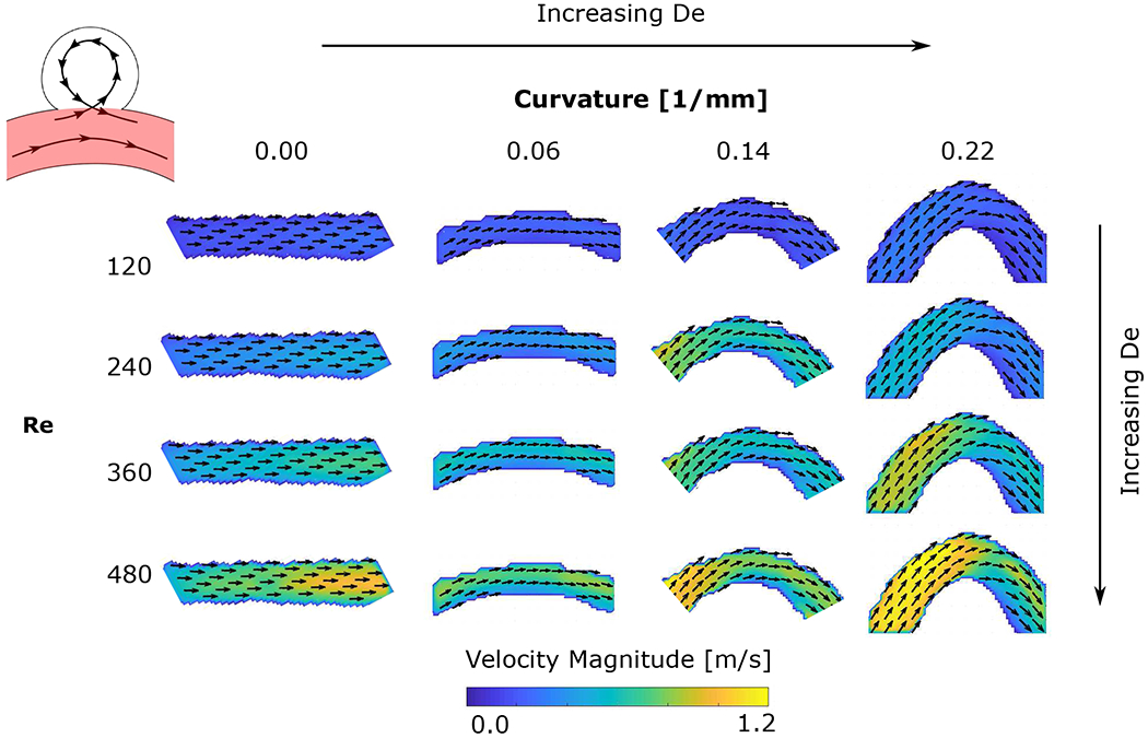 Figure 4: