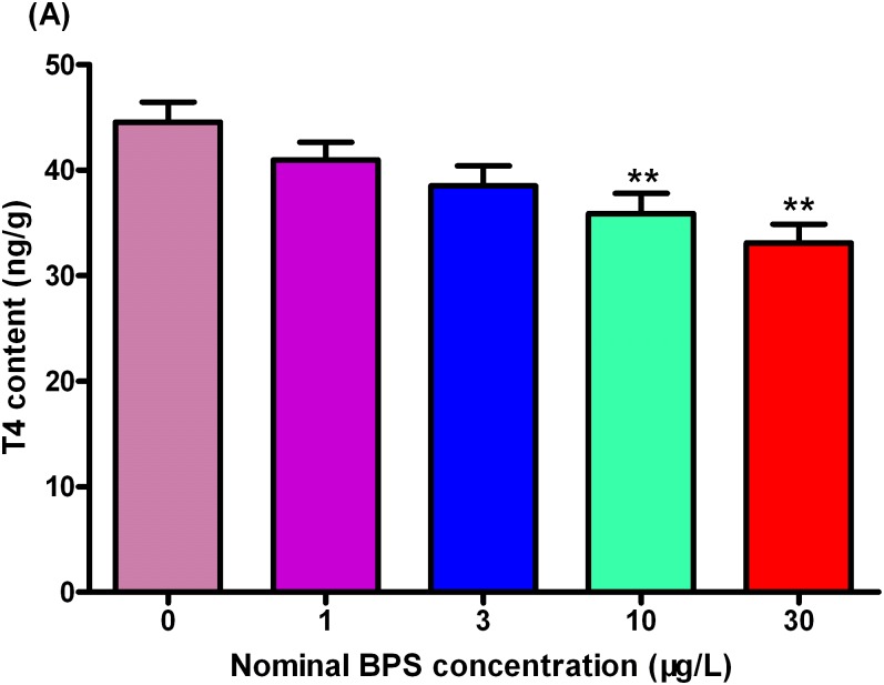 Fig 5