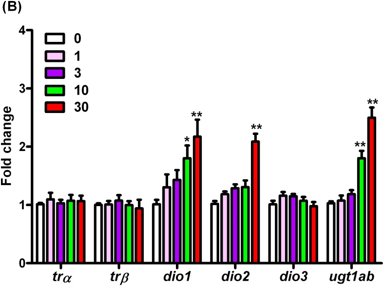 Fig 4