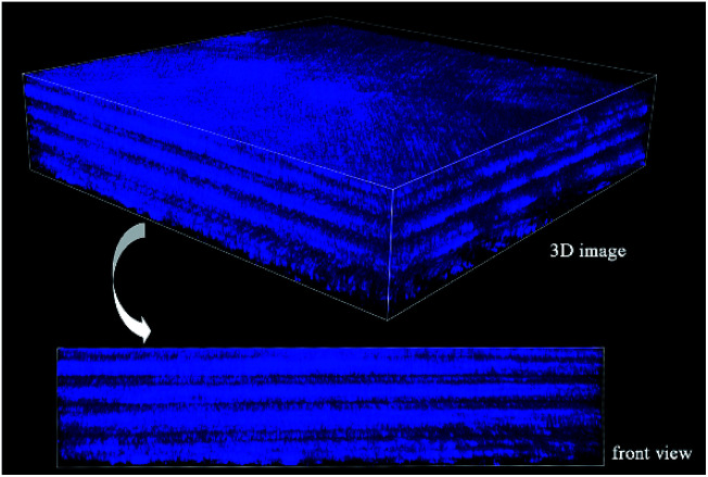 Fig. 7