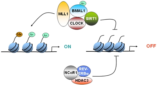 FIGURE 1