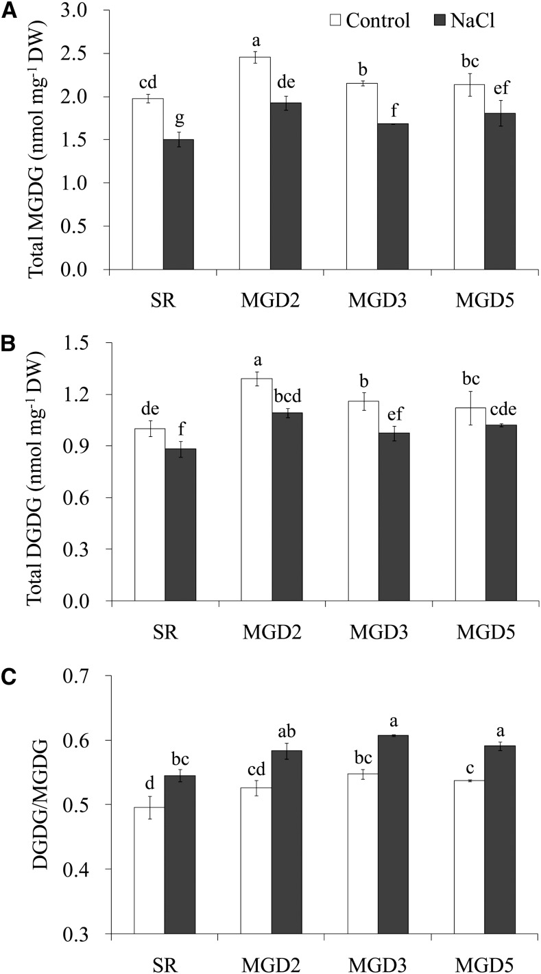 Figure 9.