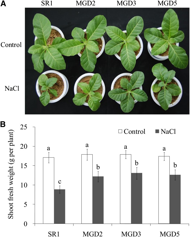 Figure 3.