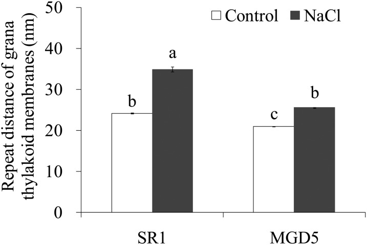 Figure 7.