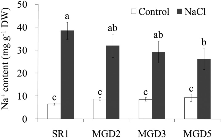 Figure 5.