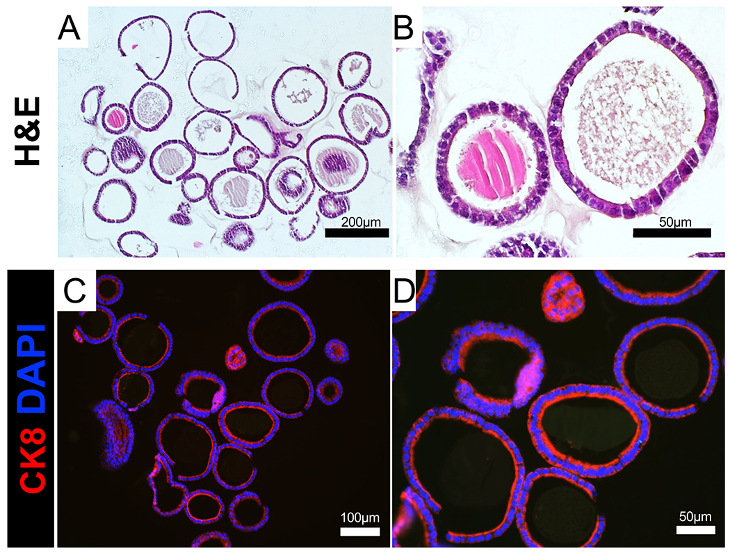 Figure 4: