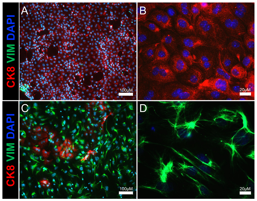 Figure 2: