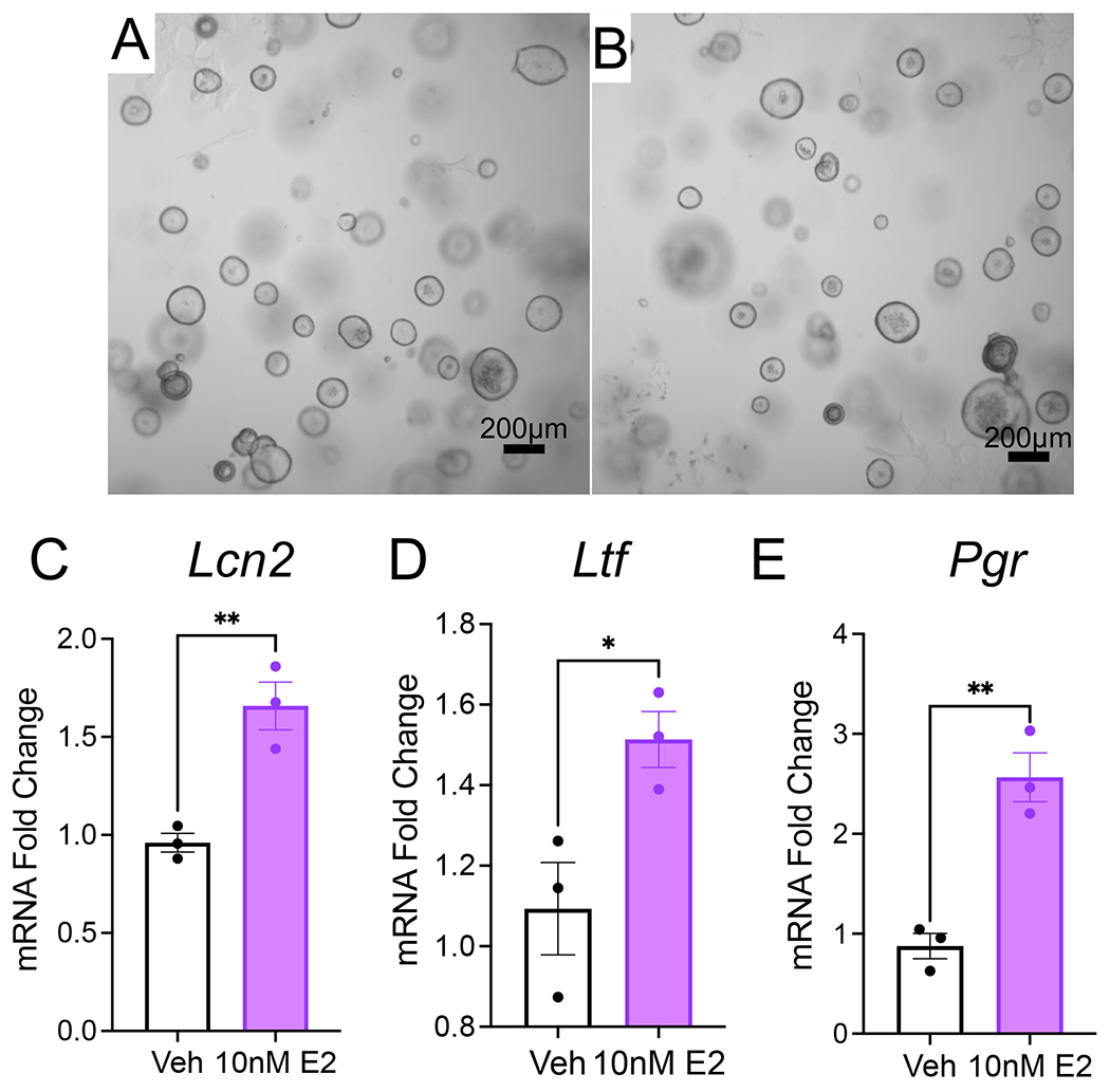 Figure 5: