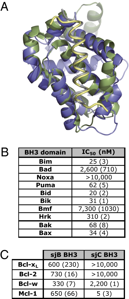 Fig. 5.