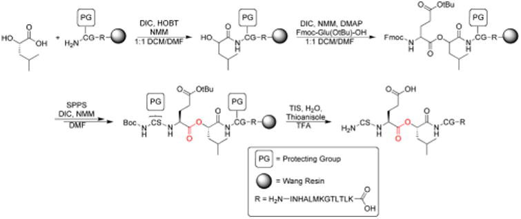 Scheme 1