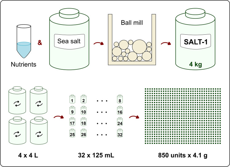 Fig. 1