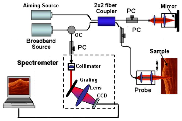 Fig. 1