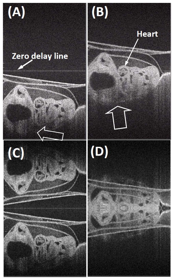 Fig. 7