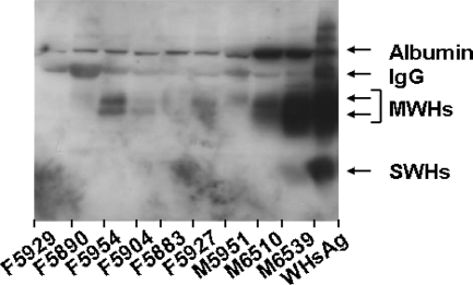 FIG. 5.