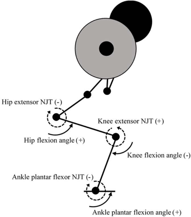 Fig. 3