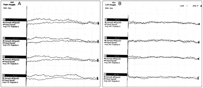 Fig. 5