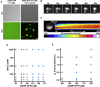 Figure 6