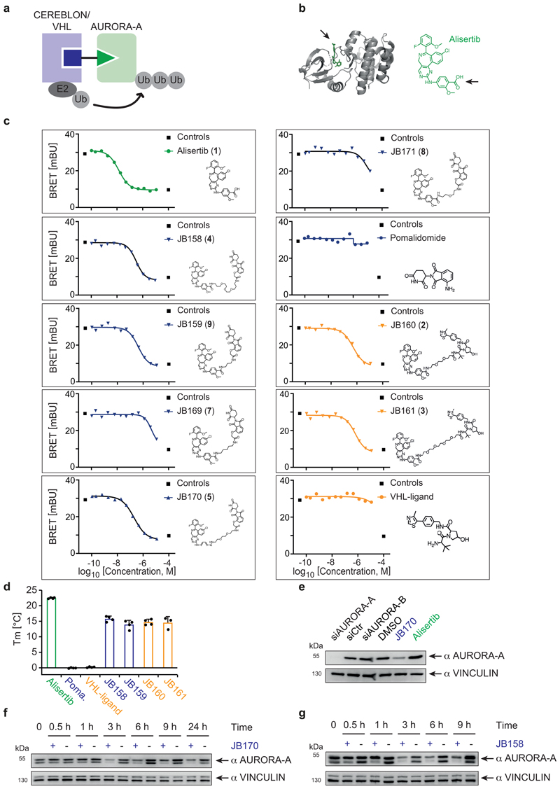 Extended Data Figure 1