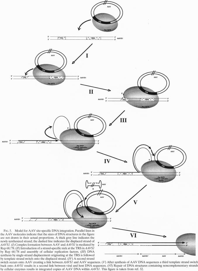 Fig. 5