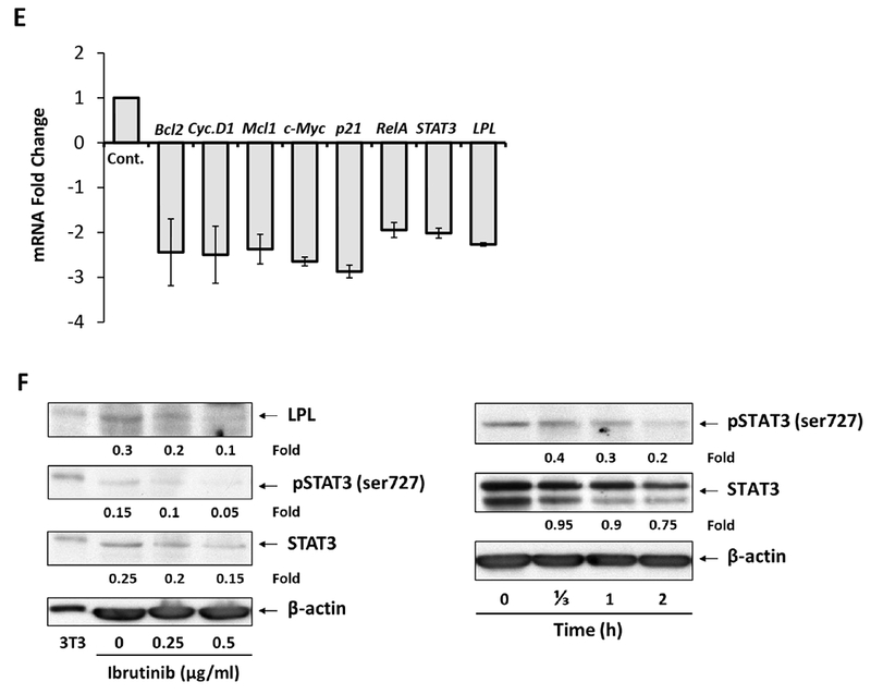 Fig 2.