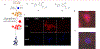 Figure 10.