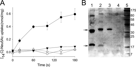 FIGURE 4.