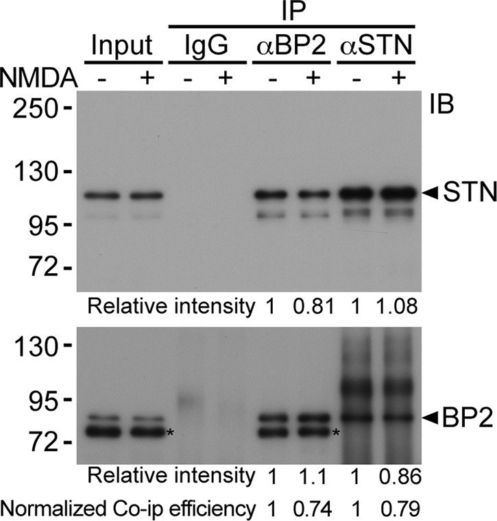 FIGURE 9: