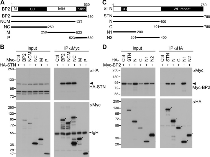 FIGURE 6: